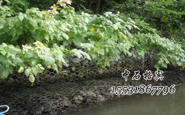 護坡賓格網