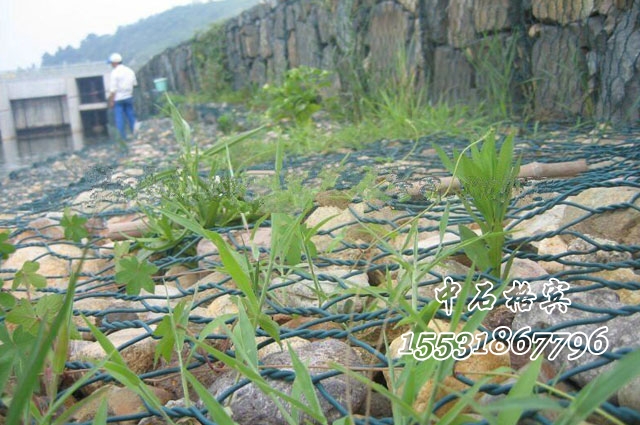 鋅鋁 合金覆塑格賓網護岸